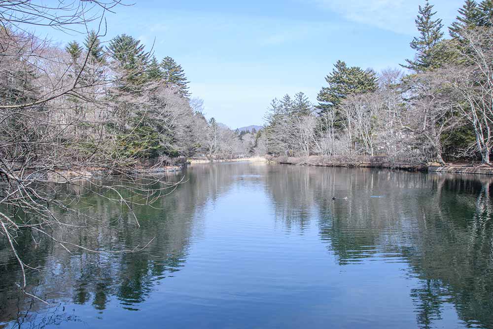 雲場池 2026年2月16日
